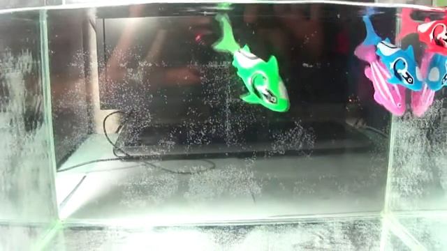 Обзор Роборыбки RoboFish