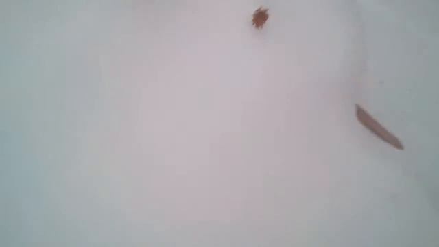 Кидаю айфон и айпад из картона часть 2