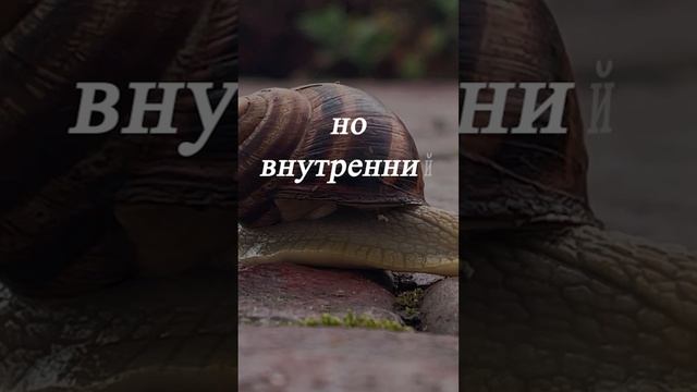 Нас ждут великие дела! смотреть онлайн