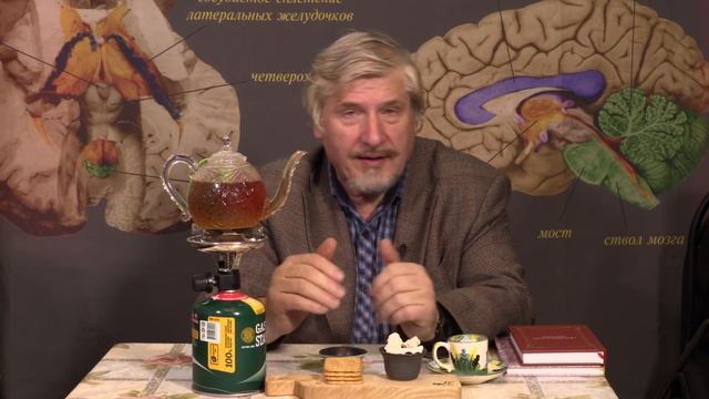 Как возникли лобные области в мозге человека? смотреть онлайн