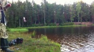 ЖОР. Ловля американского сомика. Рыбалка с Andrew Sonar