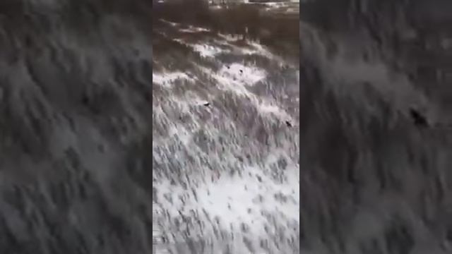 ОХОТА!!! НОВИНКА2017!!! смотреть онлайн