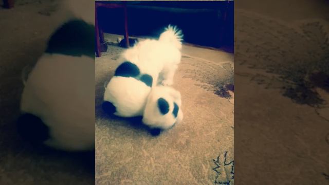 Маленький хулиган смотреть онлайн