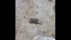 Замена задних тормозных колодок на VOLVO S80, S60, V70