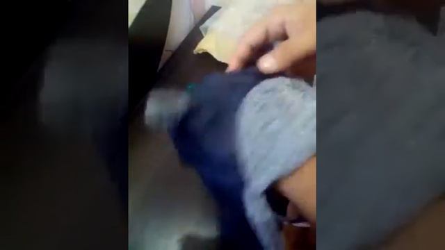 Шапка ушанка и костюм для мальчика (Анастасия Шеремет) смотреть онлайн