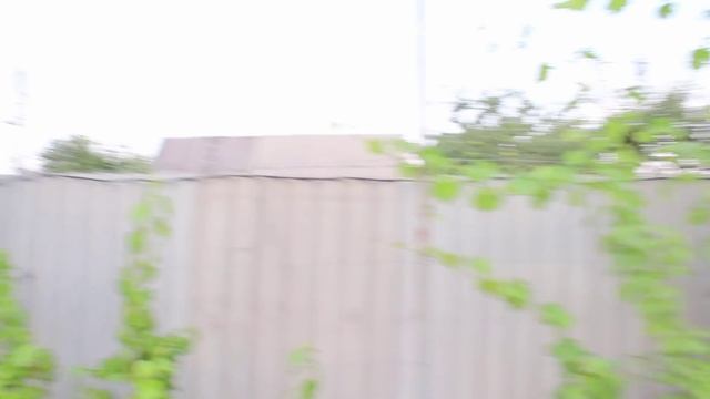 Построена арка для винограда своими руками смотреть онлайн