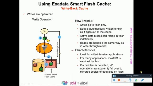Oracle DatabaseTraining|ExadataTraining|Golden Gate Training |Azure Training|AWS Training смотреть онлайн