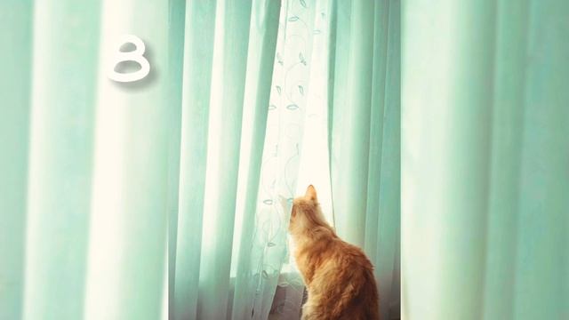 My Home page wallpapers collection/Mint green Aesthetic wallpaper/Android phone/#pinterest смотреть онлайн