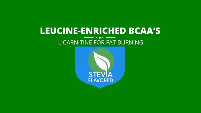 AMINO4 - BCAA's + L-Carnitine + Stevia смотреть онлайн