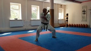 Годзю Рю каратэ-до. Супаринпей ката. Пичурин.