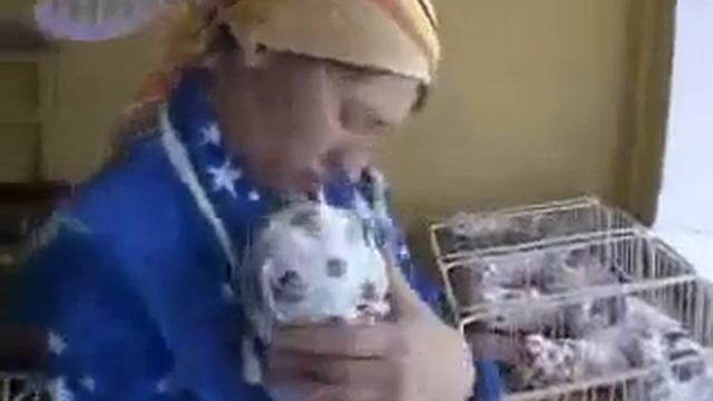 Десетерня в Курской области! смотреть онлайн