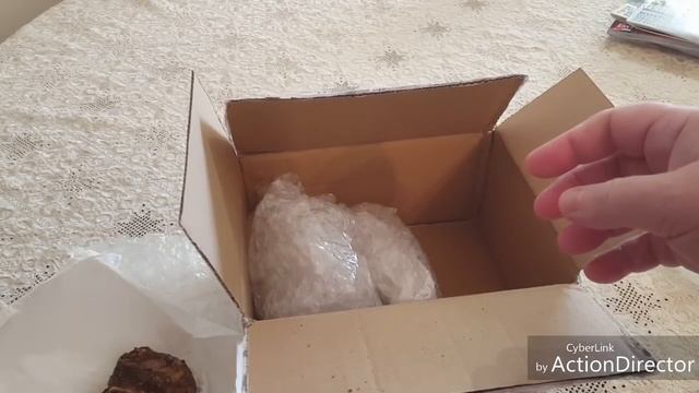 Покупка на eBay-amorphophallus konjac и другое?☺ смотреть онлайн