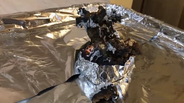 Эксперимент в коробочке №18. Пепельное дерево смотреть онлайн