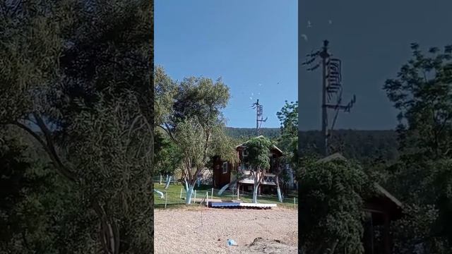 Bodrum#Dolphin Park#Yunuslar#DogaHarikasi#Güvercinlik.Бодрум#Рай На Земле#Дельфинарий#Турция.