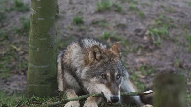 ОНАНИЗМ ЭТО ГРЕХ смотреть онлайн