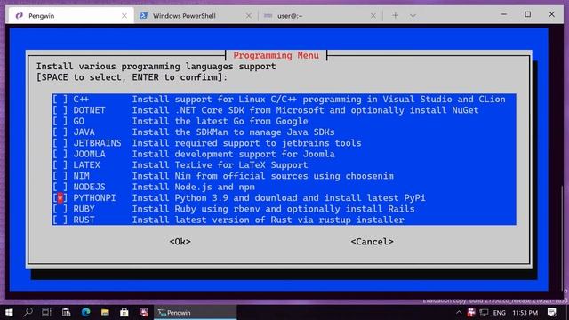 Pengwin-setup Walkthrough
