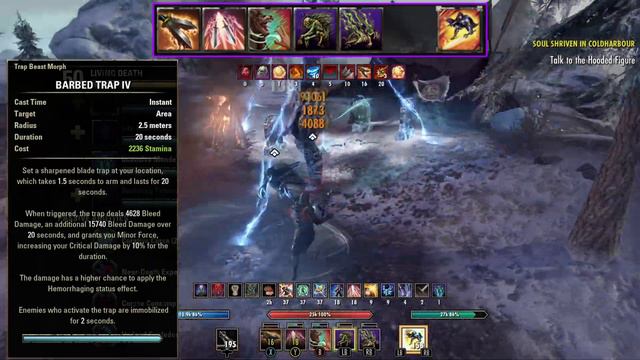 ESO - Grave Digger - Solo Stamina Necromancer for ALL Solo Content! Update 36 - Firesong Patch смотреть онлайн