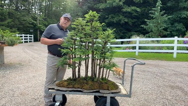 ⠀ смотреть онлайн