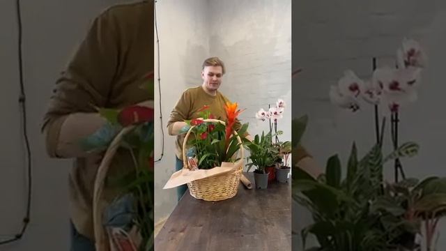 Идеи на 8 марта