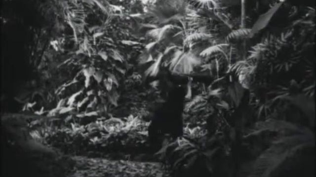 Женщина о 100 головах, или Потерявшая голову La femme 100 têtes 1968 Эрик Дювивье Eric Duvivi смотреть онлайн