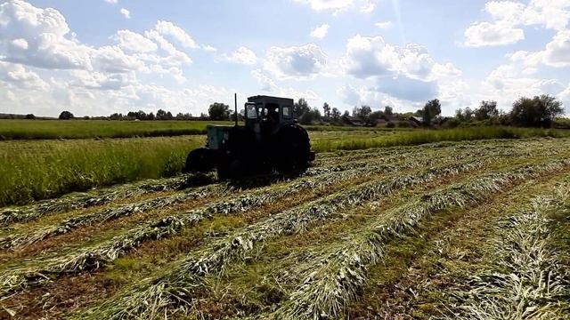 Сенокос 2020. смотреть онлайн