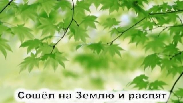 Когда устанут мои руки смотреть онлайн