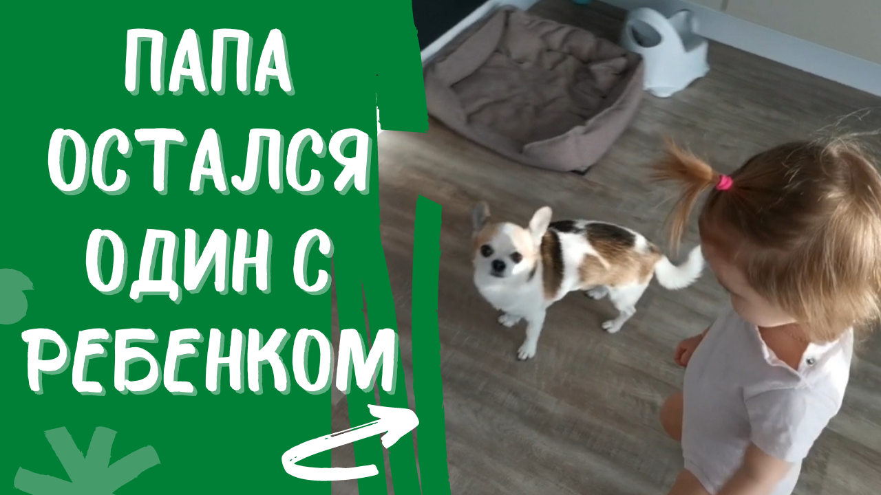 Папа остался на целый день с ребёнком и собакой смотреть онлайн
