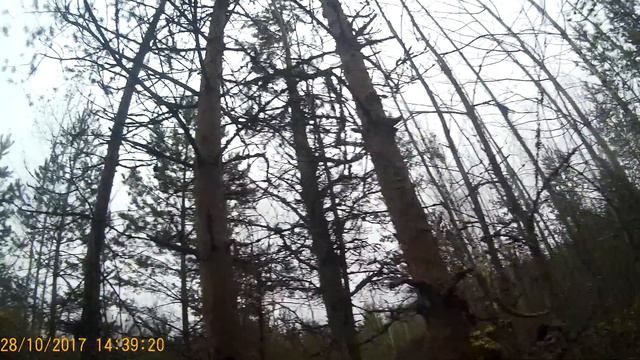 2017 10 28 Страйкбол (Airsoft) г.Выборг Вторая фаза смотреть онлайн