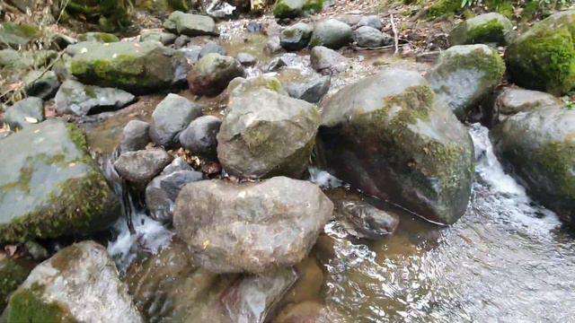 Лесной Водопад, Красота Природы Азербайджана смотреть онлайн