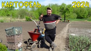 Посадили картошку мотоблоком Нева МБ2  в 2024 году.