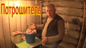 Забой перепелов Обработка огнем Потрошение