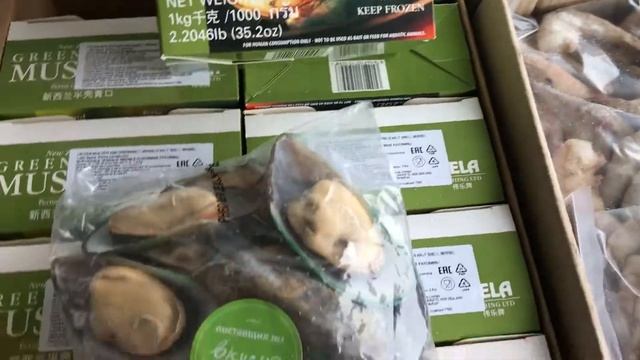 Мидии Киви на половинках смотреть онлайн