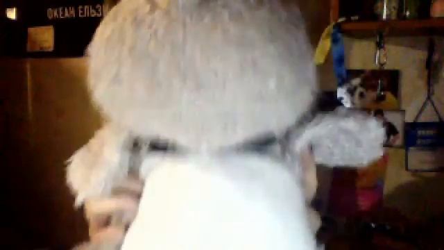 Видео с веб-камеры. Дата: 4 июня 2014 г., 2:38.