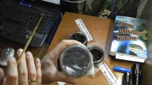 Выращивание японской сосны бонсай Bonsai из семечек первые итоги