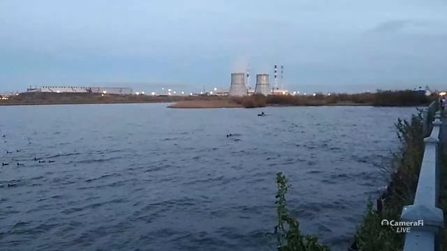 Невская губа Финский залив смотреть онлайн