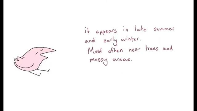 mushroom video: amethyst deceiver mushroom смотреть онлайн