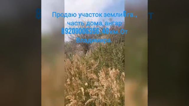 Продаю Участок Земли. СХ назначение, большой Ангар, и часть дома. Владимирская обл. смотреть онлайн