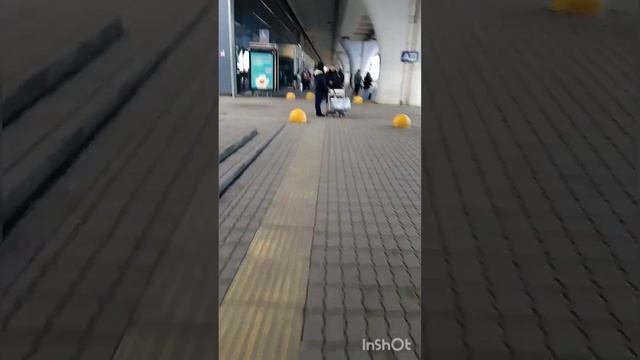 аэропорт Внуково смотреть онлайн