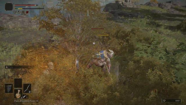 ELDEN RING™ - Invisible Bug - Stuttering FPS смотреть онлайн