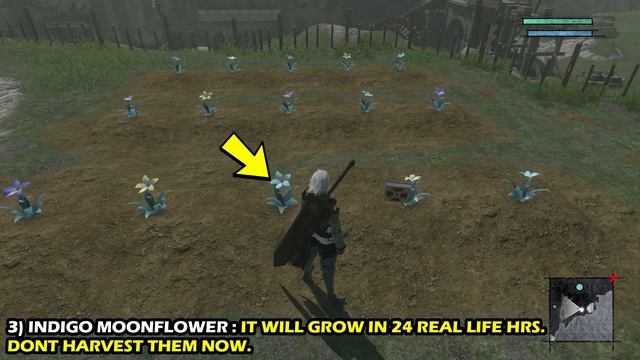 How To get Pink Moonflower Seed: Life In The Sands Side Quest | NieR Replicant ver 1.22 (2021) смотреть онлайн