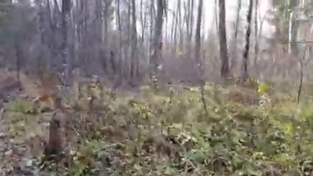 Шушмор!!! смотреть онлайн
