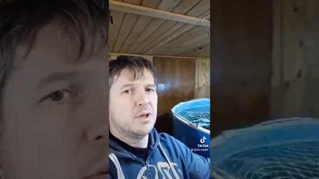 что надо для постройки осетровой фермы УЗВ смотреть онлайн