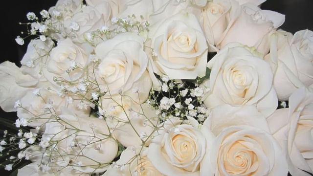 Встречайте нас на Яндекс Дзен смотреть онлайн