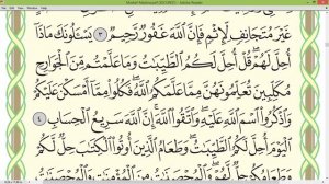 Шейх Айман Сувейд сура Аль Маида стр 107