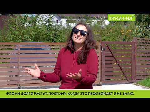 «В гостях Удачи». Любовь Барабашова смотреть онлайн