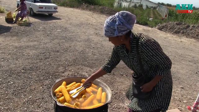 Дүмбүл бизнеси: Нурила Аскарова 10 жылдан бери дүмбүл сатып, иштеп келет смотреть онлайн