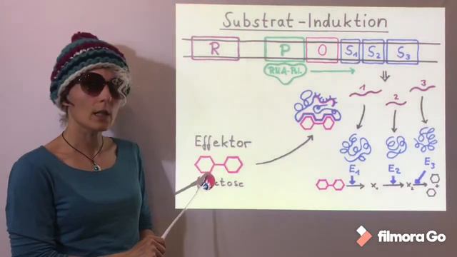 11 Q11 Genregulation: Operon-Modell смотреть онлайн
