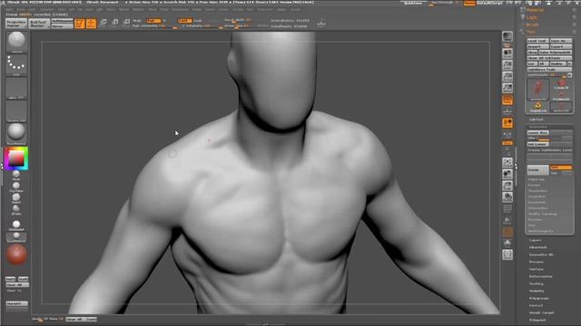 anatomy02_torso_back смотреть онлайн