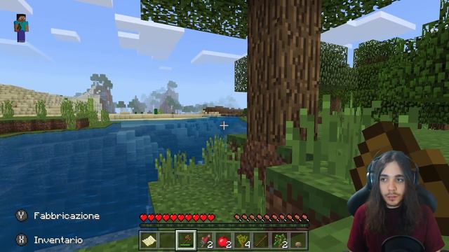 MINECRAFT SU NINTENDO SWITCH ITA смотреть онлайн