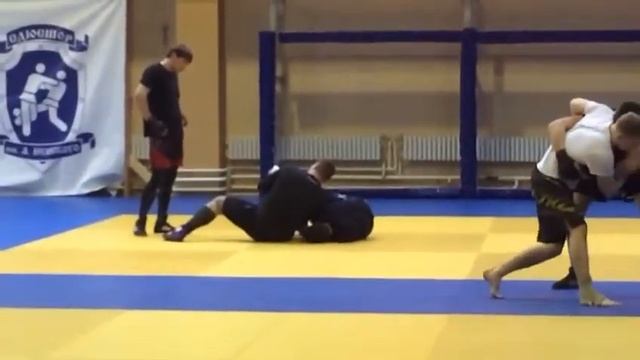 6 апреля 2017 г.